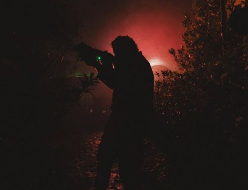 Ngame a Lucca Comics 2025 con Disney per Predator: Badlands